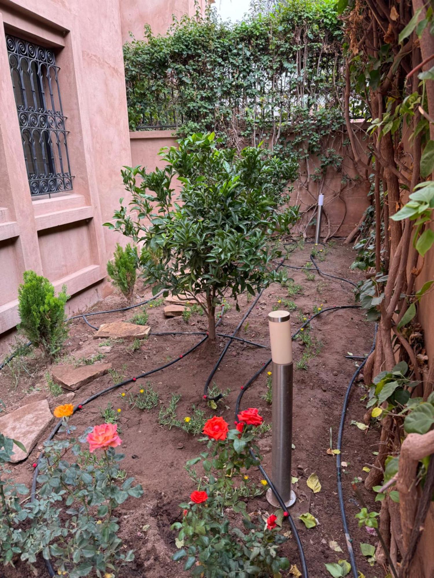Cozy Rez De Jardin بيت للعطل *