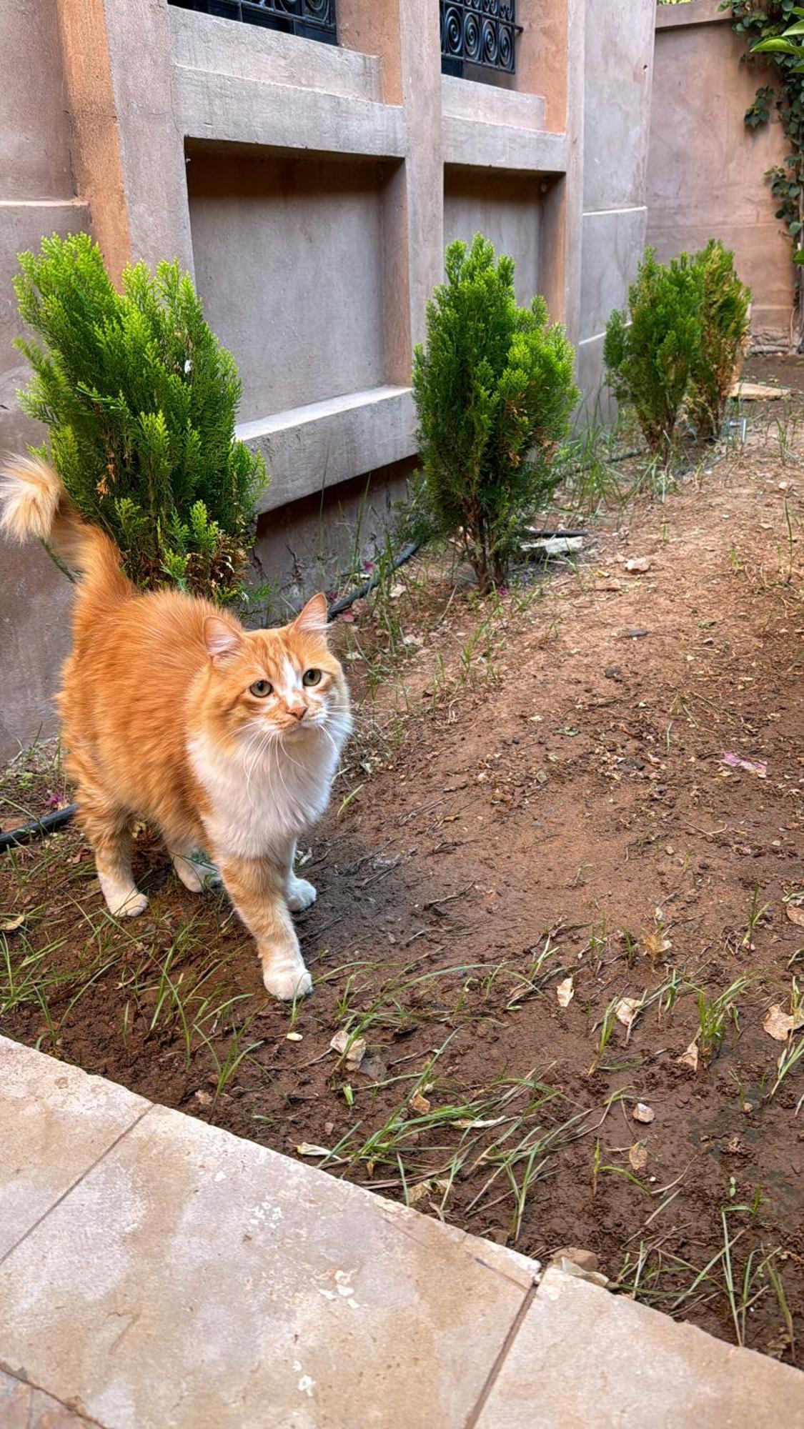 Cozy Rez De Jardin بيت للعطل